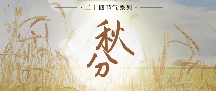 今日秋分|慶祝豐收，期盼團圓